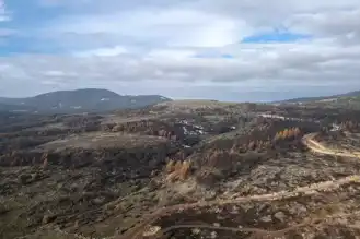Bolu'da Orman Zararlılarıyla Mücadele ve Okul Denetimleri