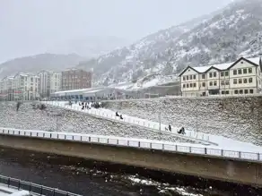 Gümüşhane'de Kar Keyfi: Çocuklar Kayak Yapıyor!